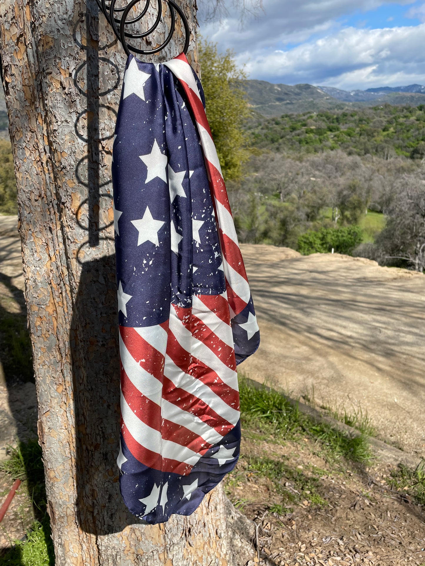 Stars & Stripes Wild Rag