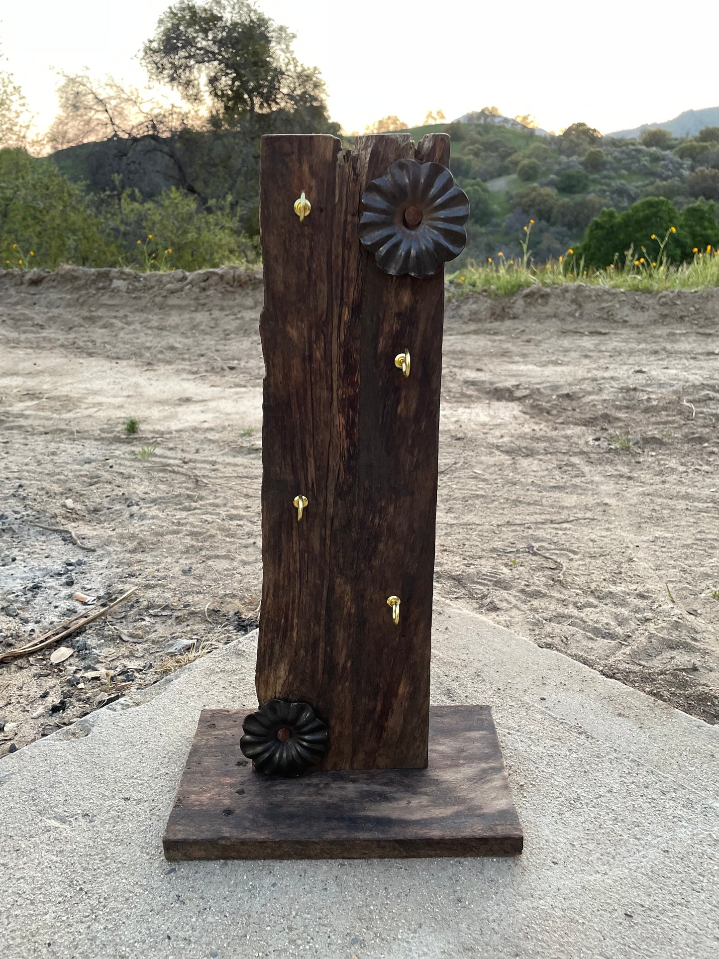 Hook Display with Cast Iron Flowers