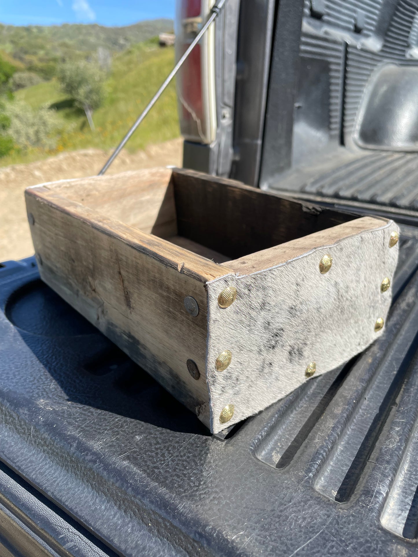 Table Caddy with Cow Hide Ends